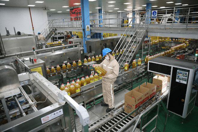 中国粮油食品交易市场潜力大 使用中文域名成市场新宠|农产品|油料